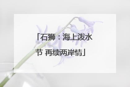 石狮：海上泼水节 再续两岸情