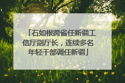 石如根跨省任新疆工信厅副厅长，连续多名年轻干部调任新疆