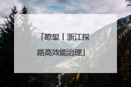 瞭望丨浙江探路高效能治理