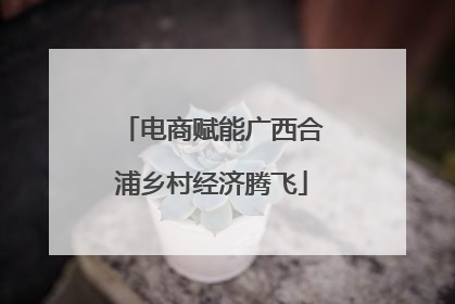 电商赋能广西合浦乡村经济腾飞