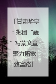 甘肃华亭：抱团“蔬”写菜文章 聚力拓宽致富路