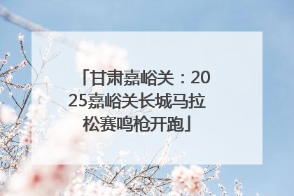 甘肃嘉峪关：2025嘉峪关长城马拉松赛鸣枪开跑