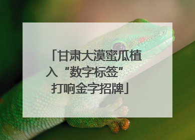 甘肃大漠蜜瓜植入“数字标签” 打响金字招牌
