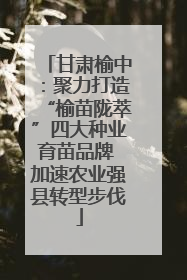 甘肃榆中：聚力打造“榆苗陇萃”四大种业育苗品牌 加速农业强县转型步伐