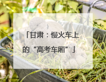甘肃：慢火车上的“高考车厢”