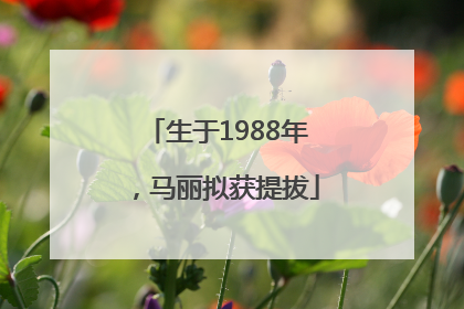 生于1988年，马丽拟获提拔