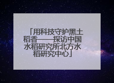 用科技守护黑土稻香——探访中国水稻研究所北方水稻研究中心