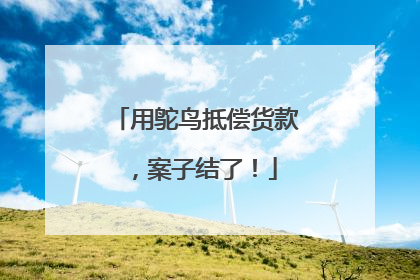 用鸵鸟抵偿货款，案子结了！