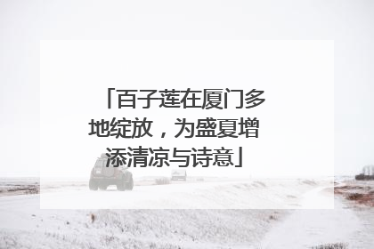 百子莲在厦门多地绽放，为盛夏增添清凉与诗意
