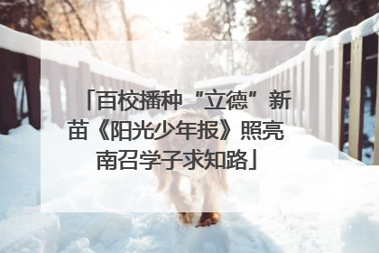 百校播种“立德”新苗《阳光少年报》照亮南召学子求知路
