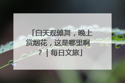 白天观傩舞，晚上赏烟花，这是哪里啊？｜每日文旅