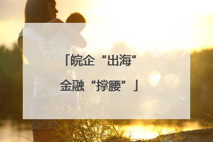 皖企“出海” 金融“撑腰”