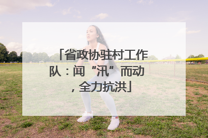 省政协驻村工作队：闻“汛”而动，全力抗洪