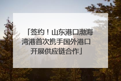 签约！山东港口渤海湾港首次携手国外港口开展供应链合作