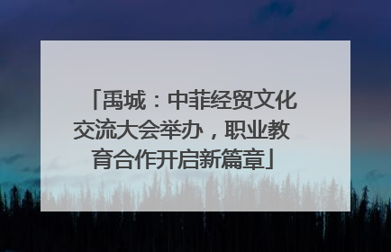 禹城：中菲经贸文化交流大会举办，职业教育合作开启新篇章