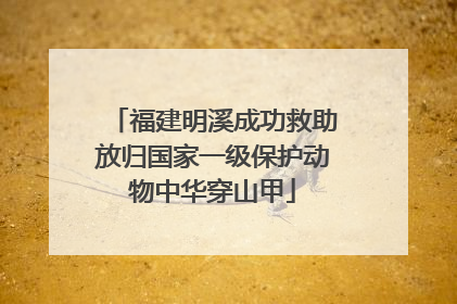 福建明溪成功救助放归国家一级保护动物中华穿山甲