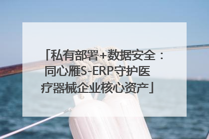 私有部署+数据安全：同心雁S-ERP守护医疗器械企业核心资产