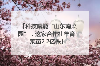 科技赋能“山东南菜园”，这家合作社年育菜苗2.2亿株