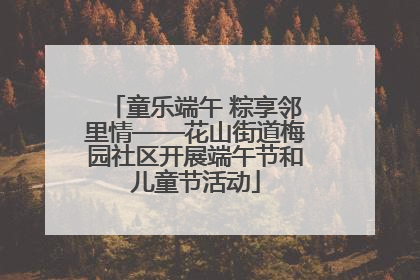 童乐端午 粽享邻里情——花山街道梅园社区开展端午节和儿童节活动