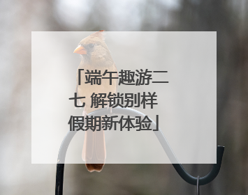 端午趣游二七 解锁别样假期新体验