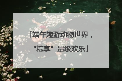 端午趣游动物世界，“粽享”量级欢乐