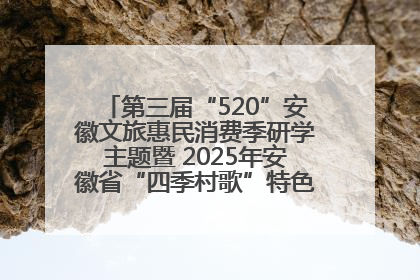 第三届“520”安徽文旅惠民消费季研学主题暨 2025年安徽省“四季村歌”特色展演燃动池州