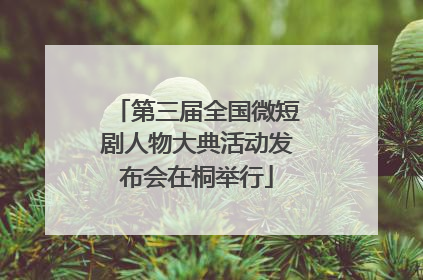第三届全国微短剧人物大典活动发布会在桐举行