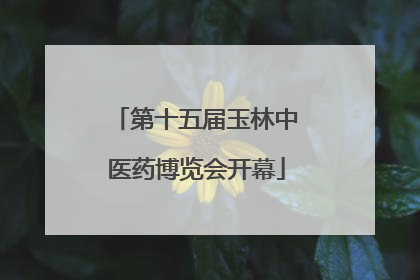 第十五届玉林中医药博览会开幕