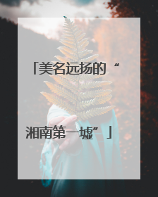 美名远扬的“湘南第一墟”