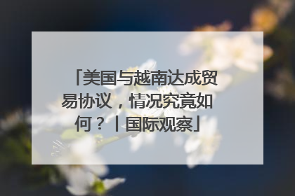 美国与越南达成贸易协议，情况究竟如何？丨国际观察