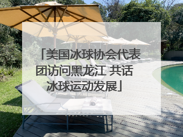 美国冰球协会代表团访问黑龙江 共话冰球运动发展