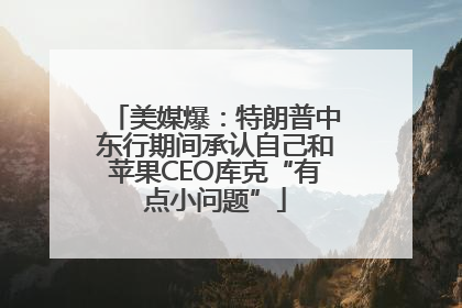 美媒爆：特朗普中东行期间承认自己和苹果CEO库克“有点小问题”