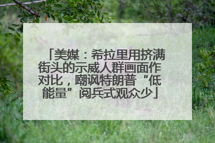美媒：希拉里用挤满街头的示威人群画面作对比，嘲讽特朗普“低能量”阅兵式观众少