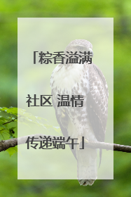 粽香溢满社区 温情传递端午