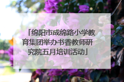 绵阳市成绵路小学教育集团举办书香教师研究院五月培训活动