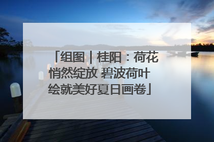 组图｜桂阳：荷花悄然绽放 碧波荷叶绘就美好夏日画卷