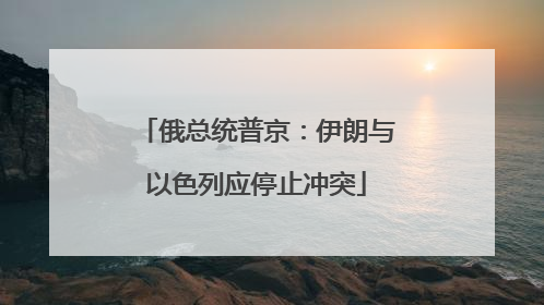 俄总统普京：伊朗与以色列应停止冲突