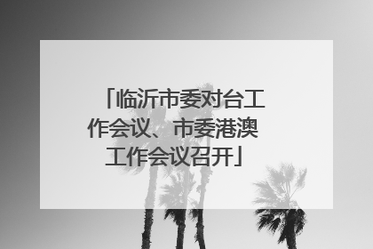 临沂市委对台工作会议、市委港澳工作会议召开