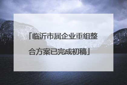临沂市属企业重组整合方案已完成初稿
