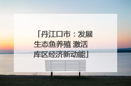 丹江口市：发展生态鱼养殖 激活库区经济新动能