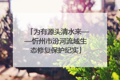 为有源头清水来——忻州市汾河流域生态修复保护纪实