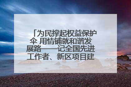 为民撑起权益保护伞 用情铺就和谐发展路——记全国先进工作者、新区项目建设中心干部卢小勇