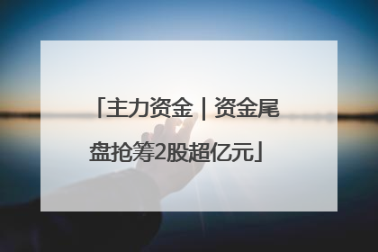主力资金｜资金尾盘抢筹2股超亿元
