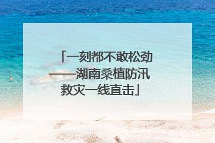 一刻都不敢松劲——湖南桑植防汛救灾一线直击