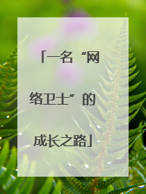 一名“网络卫士”的成长之路