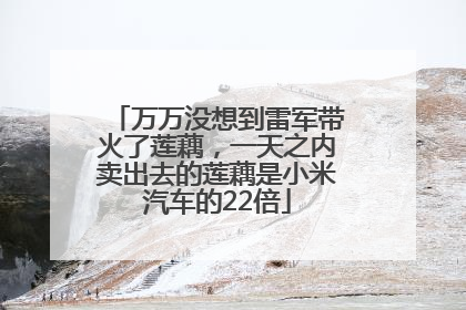 万万没想到雷军带火了莲藕，一天之内卖出去的莲藕是小米汽车的22倍