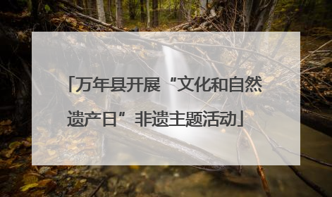 万年县开展“文化和自然遗产日”非遗主题活动