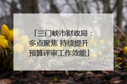 三门峡市财政局：多点聚焦 持续提升预算评审工作效能