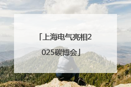 上海电气亮相2025碳博会