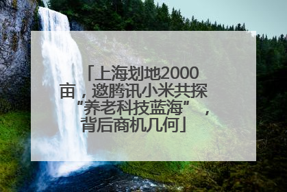 上海划地2000亩，邀腾讯小米共探“养老科技蓝海”，背后商机几何